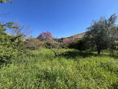 Terrain à Batir à vendre à Trausse (11160) — Terrain à bâtir arboré de 257 m2 – Trausse
