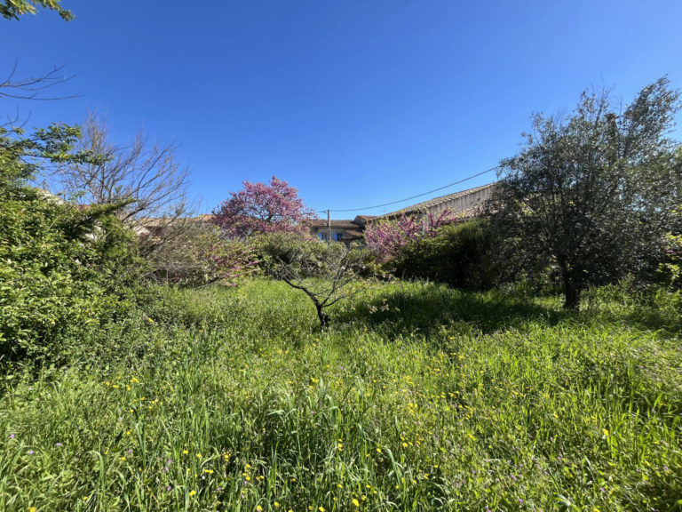 Terrain à Batir à vendre à Trausse (11160) — Terrain à bâtir arboré de 257 m2 – Trausse